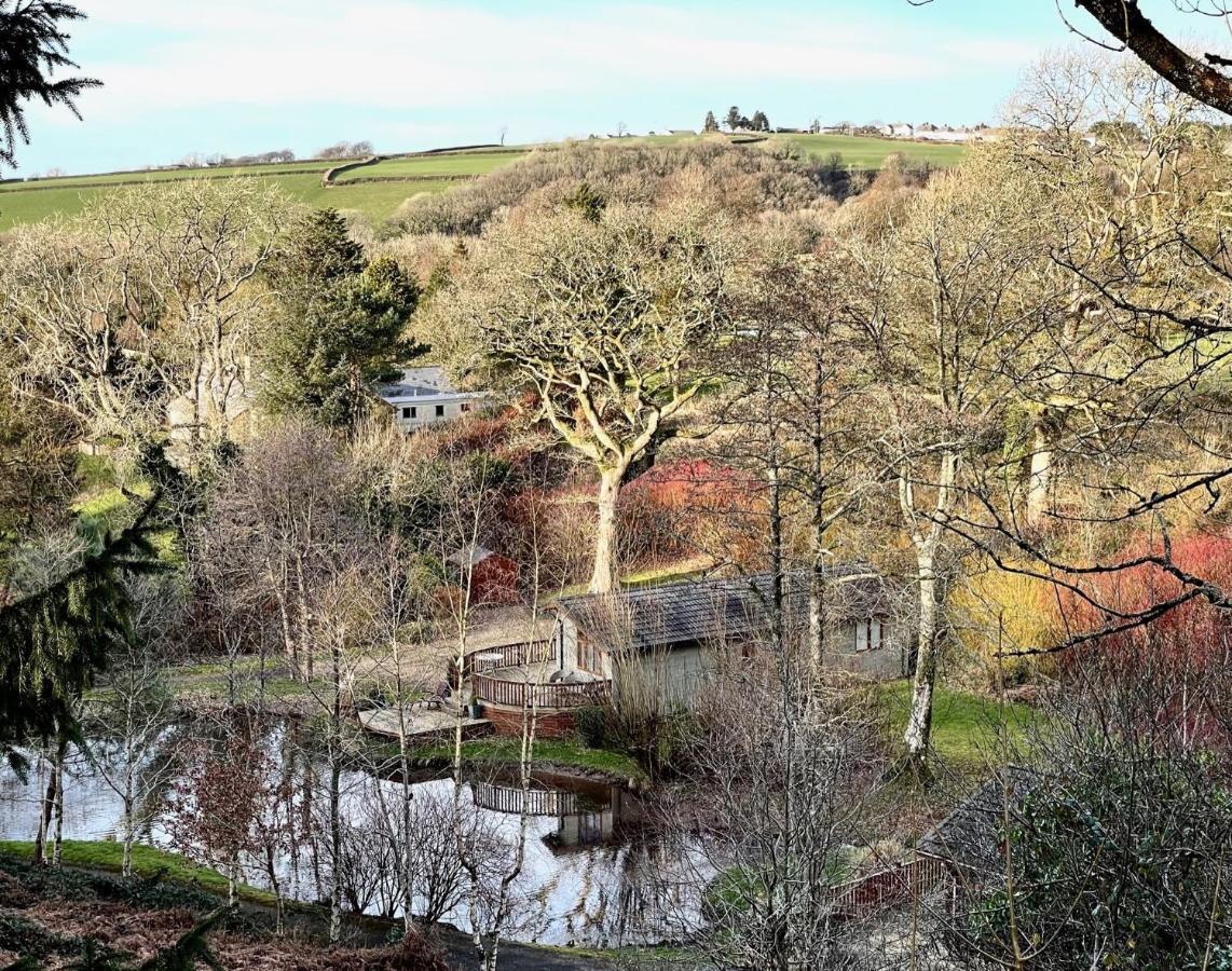 The Maples Villa Narberth Eksteriør billede